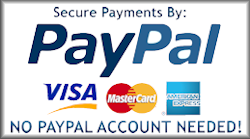 Secure Payments by Paypal